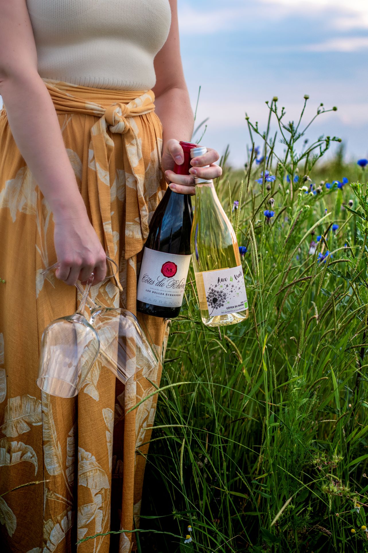 Picknick mit Côtes du Rhone Weinen